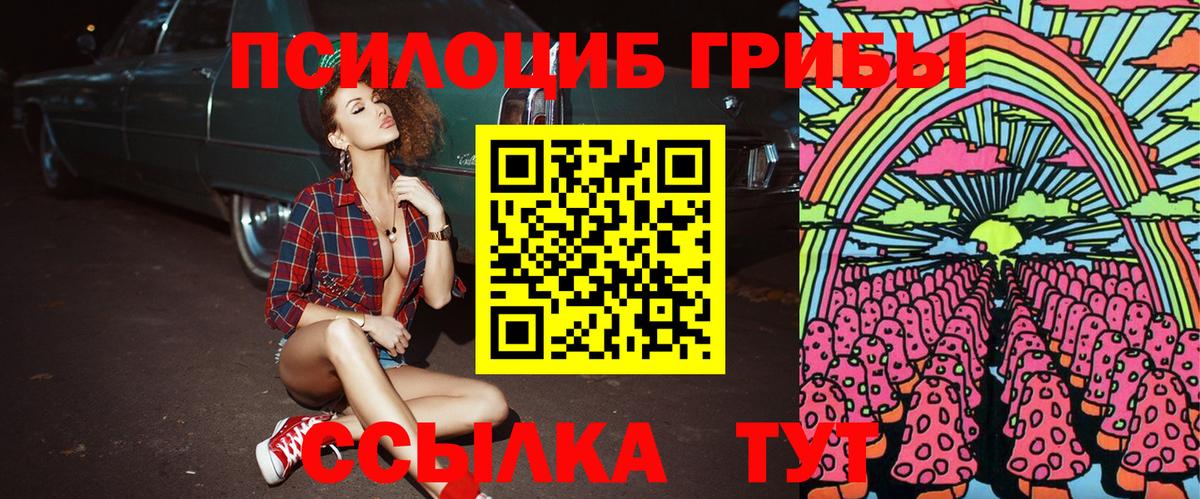 Галлюциногенные грибы прущие грибы Кинель
