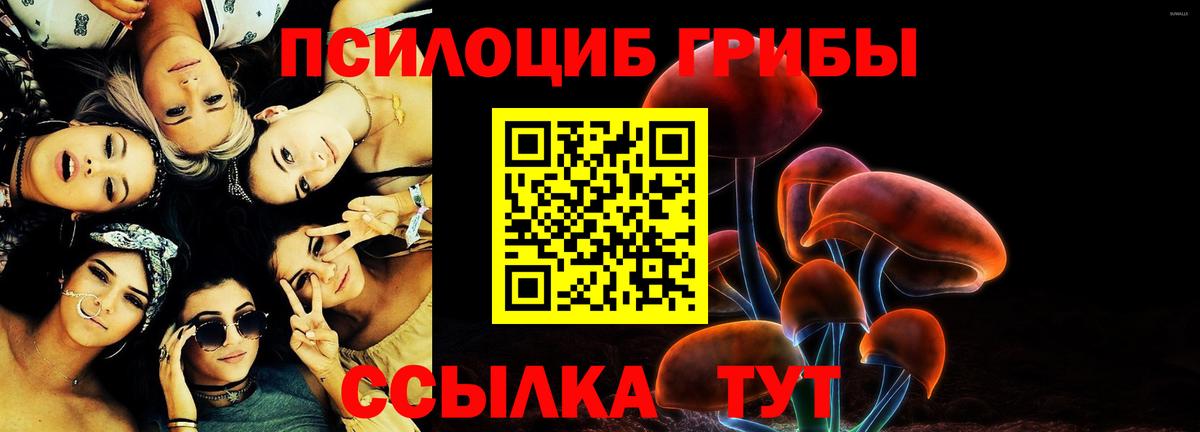 Кинель  Псилоцибиновые грибы GOLDEN TEACHER  Галлюциногенные грибы Psilocybine cubensis  Вход с VPN 
